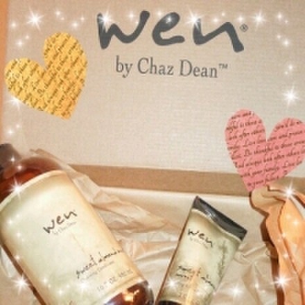 自宅でヘアエステ オーガニックシャンプー Wen ウェン Birds Loversさんのブログ Cosme アットコスメ