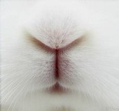 umiko.さんプロフィール画像