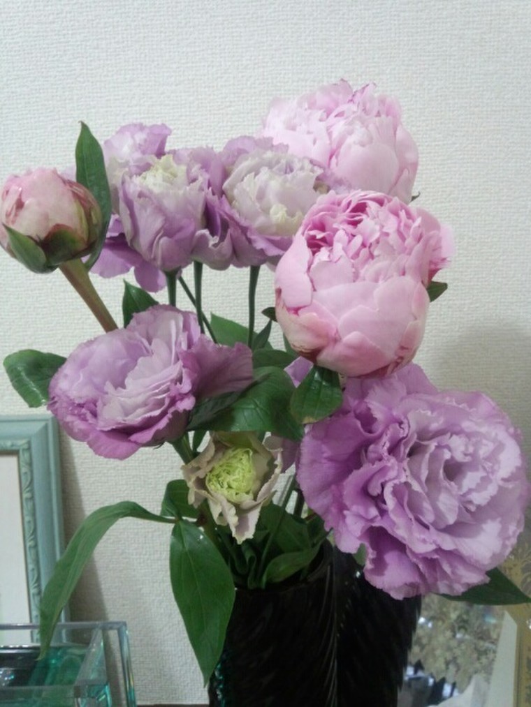 母の日に薄紫のトルコキキョウとピンクの芍薬を 34manaさんのブログ Cosme アットコスメ 母の日に薄紫のトルコキキョウとピンクの芍薬を 34manaさんのブログ Cosme アットコスメ