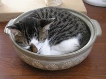 so11さんプロフィール画像