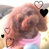ちゃぁみみん