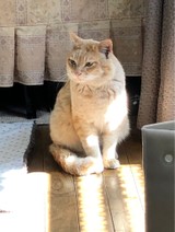 piscesさんプロフィール画像