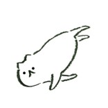 ねこもっちり
