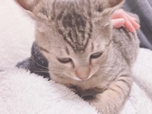 Rukiさんプロフィール画像