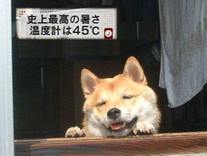 まろんさま