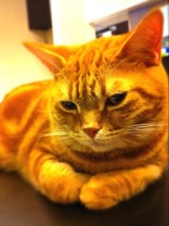 CHACHA