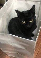 あうささんプロフィール画像