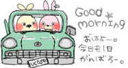 ねこﾁｬﾝ
