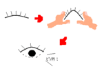 つけまつ毛が上手く付けれません