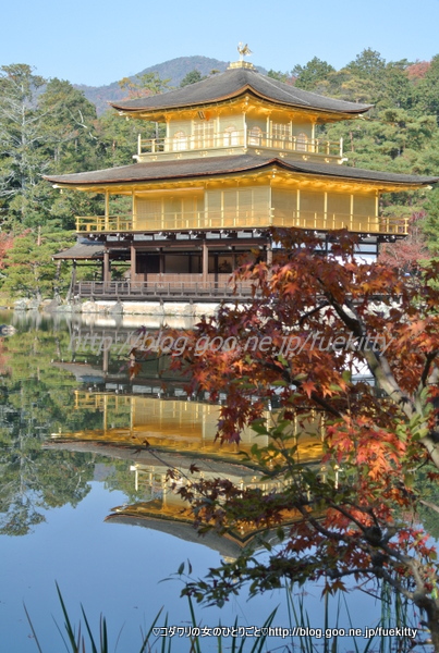 世界文化遺産 金閣寺（鹿苑寺）と鏡湖池 2013年京都・紅葉の旅… | Fueさんのブログ - @cosme(アットコスメ)