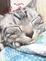 ひろいくさんプロフィール画像