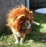 しんあ