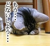 ★☆ティファニー☆★
