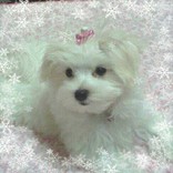 たかぴぃ･☆ﾟ:*:ﾟ