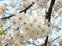 まーちんぐ