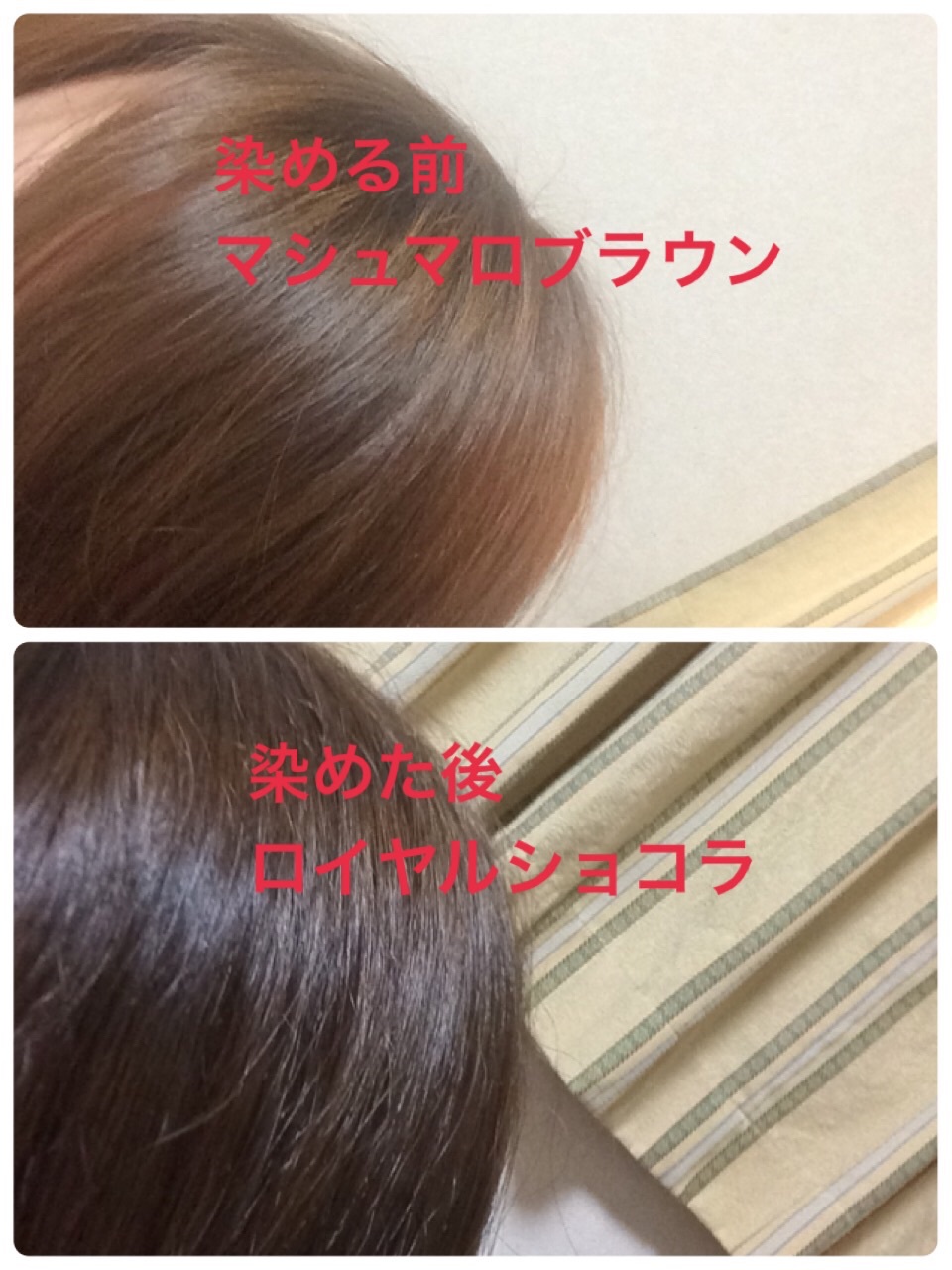 好評受付中 リーゼ 泡カラー 黒髪用ヘアカラー ロイヤルブラウン