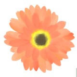 s8kさんプロフィール画像