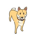 テツのおかん