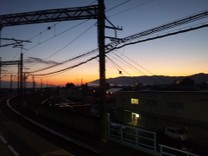 みるくてぃー（・ｏ・）♪