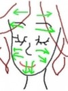 正しい顔の剃りかた