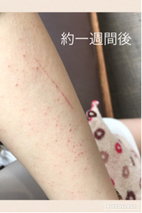 Veet ヴィート ヴィート ナチュラルズ バスタイム除毛クリーム しっかり除毛 の口コミ一覧 Like件数の多い順 美容 化粧品情報はアットコスメ Veet ヴィート ヴィート ナチュラルズ バスタイム除毛クリーム しっかり除毛 の口コミ一覧 Like件数の多い順 美容 化粧品情報はアットコスメ