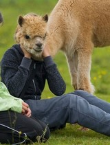 てろりろさんプロフィール画像