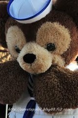 永田みちょんぬさんプロフィール画像