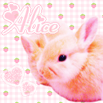 ｱﾘｽくん