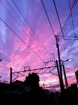 おふく。
