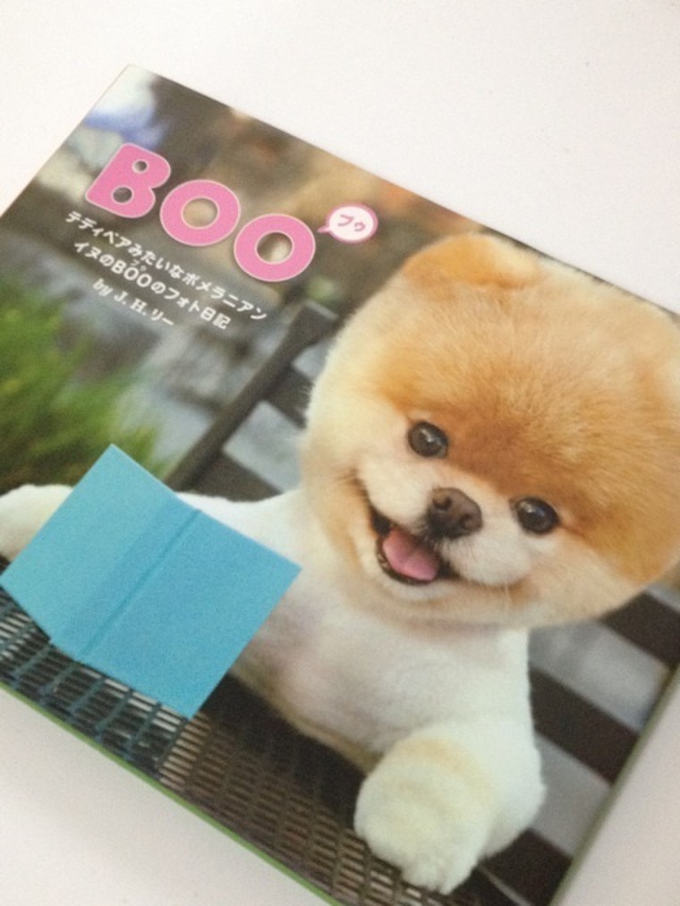 世界一かわいい犬 Booちゃん Blendaさんのブログ Cosme アットコスメ