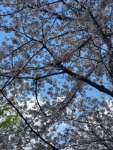 Ｍｏｅｒｙさんプロフィール画像