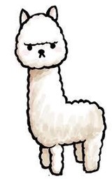 紗爛さんプロフィール画像