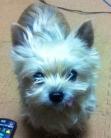 ai-jiaさんプロフィール画像