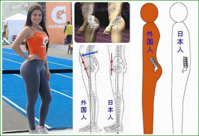 更新 必見 欧米人とアジア人の骨格の違い それは骨盤の位置と筋肉の発達の違いにあった Emirinさんのブログ Cosme アットコスメ