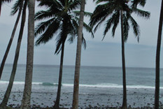 meru2