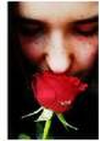 *:.:*silverRose*:.:*