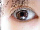 目の種類がわかりません