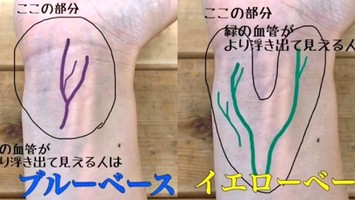 この血管の色だとブルベですか 手首の血管です 苦手な方 Q A Cosme アットコスメ