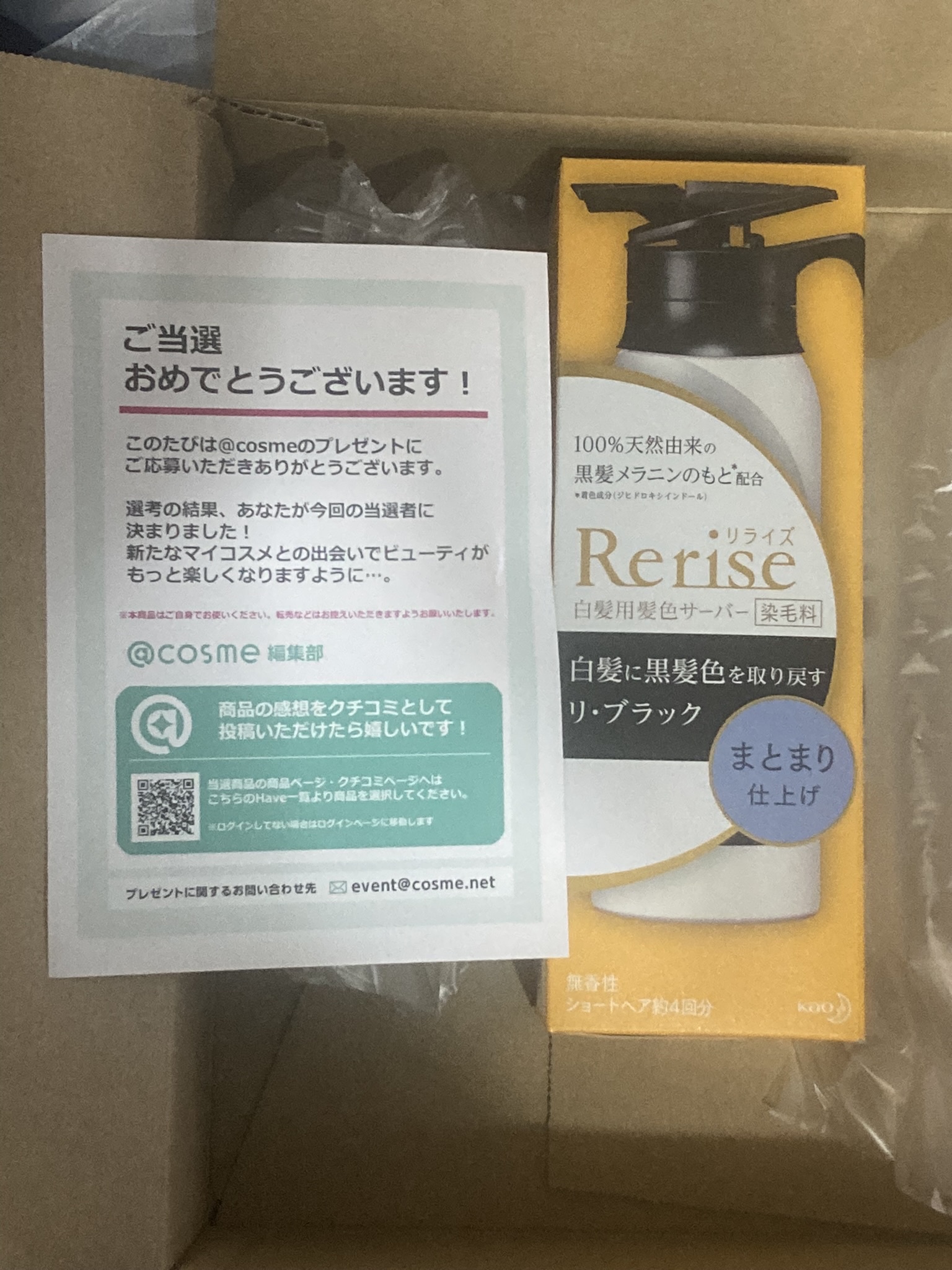 ブローネ / ブローネ リライズ 白髪用髪色サーバー リ・ブラック