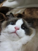 moumou000