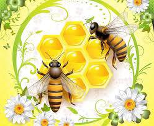 蜂注意報発令中 蜂の巣 を撃退しました 対処法あり Mint さんのブログ Cosme アットコスメ