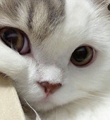 ハタクヤ