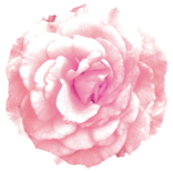 poupee36