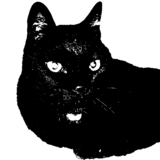 黒猫ルーシーさんプロフィール画像