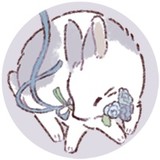 ＊四葩＊さんプロフィール画像