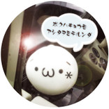 まみぽんちゃん