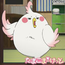 ルパ子
