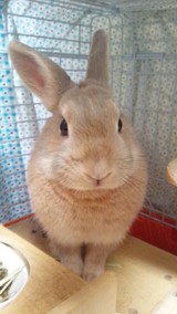 きききなこ3204さんプロフィール画像