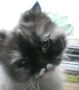 ★キアラ３１０４★さんプロフィール画像