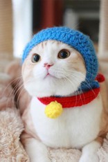 リイア